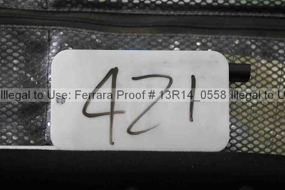 Proof 13r14_0558
