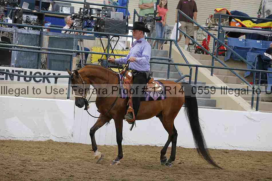 Proof 13r14_0559
