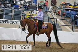 13r14_0559 proof