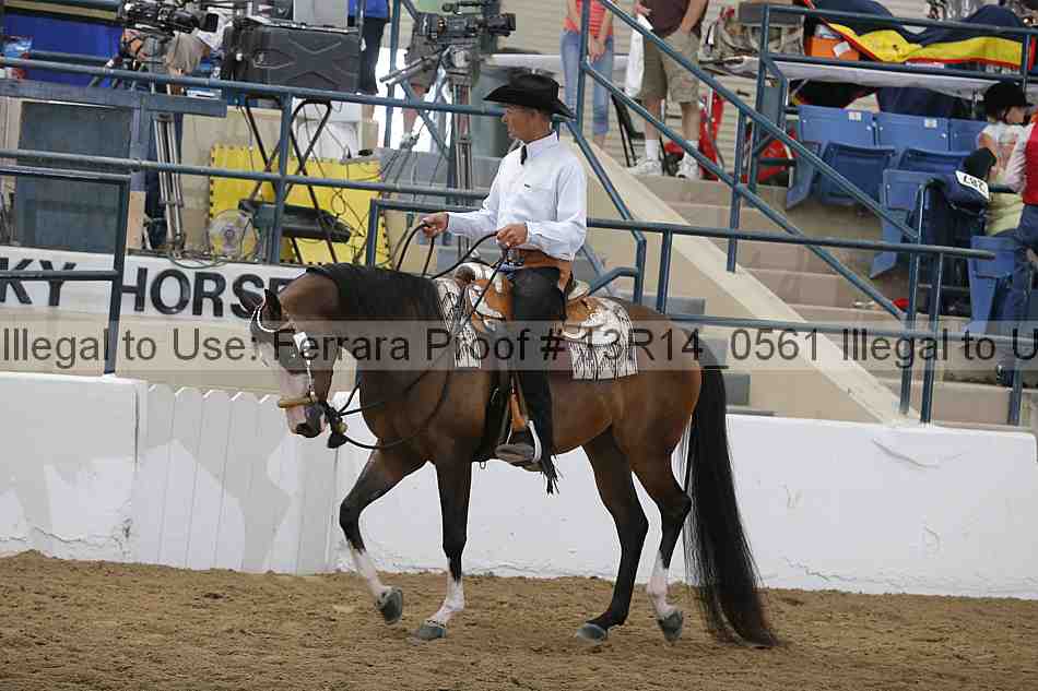 Proof 13r14_0561