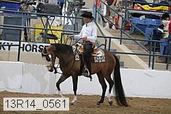 13r14_0561 proof