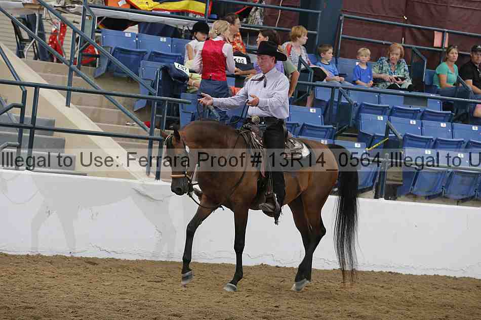 Proof 13r14_0564