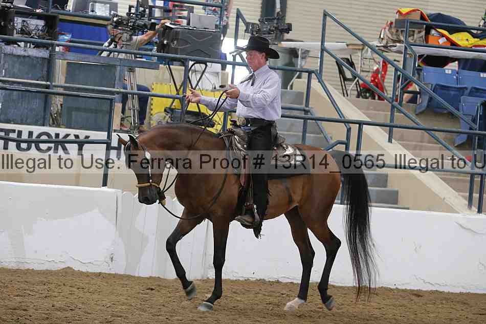 Proof 13r14_0565
