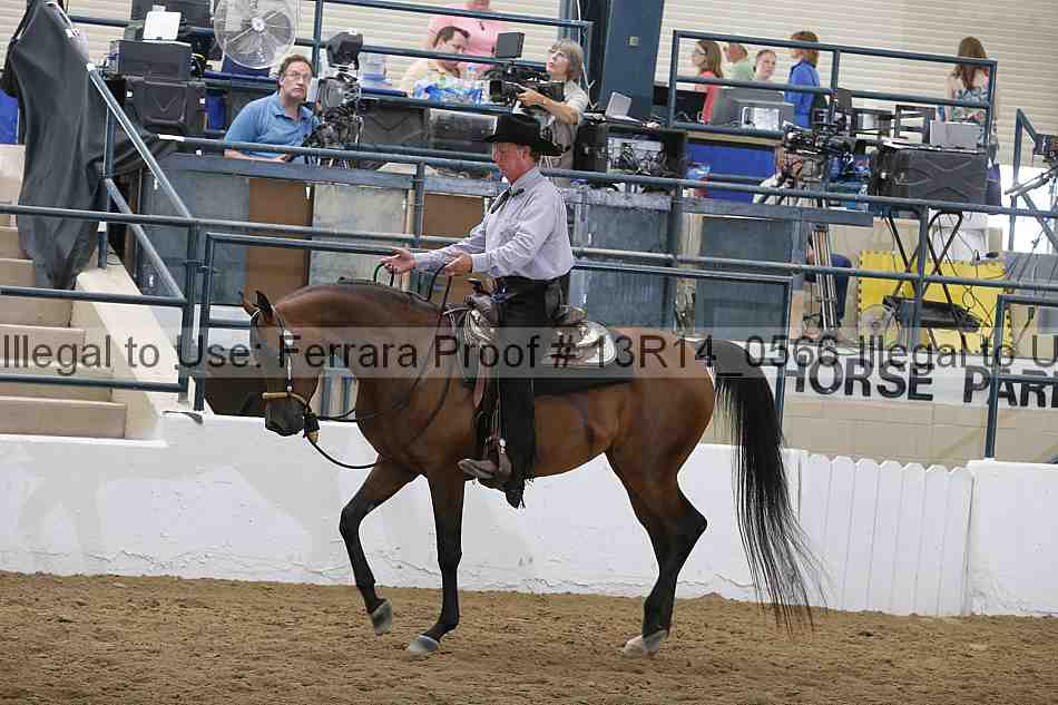 Proof 13r14_0566