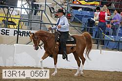 13r14_0567 proof