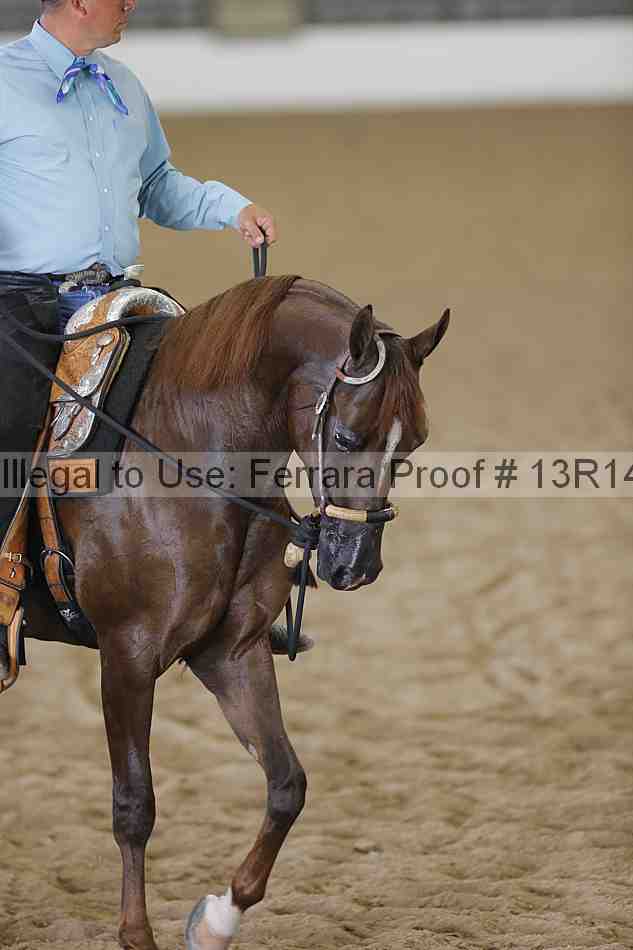 Proof 13r14_0576