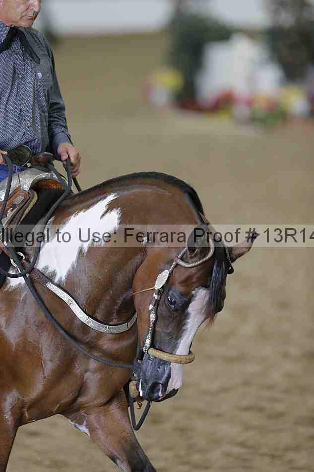 Proof 13r14_0580