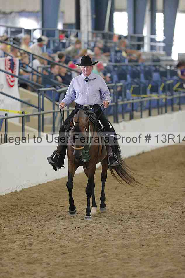 Proof 13r14_0595