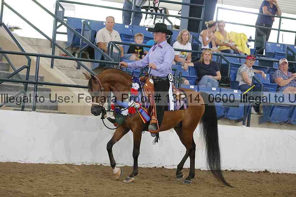 Proof 13r14_0600