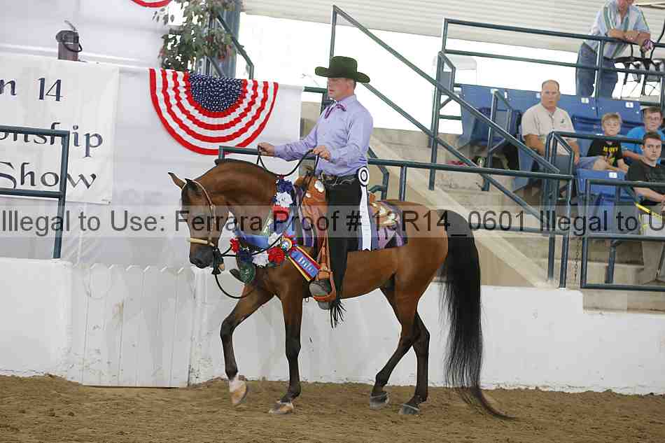 Proof 13r14_0601