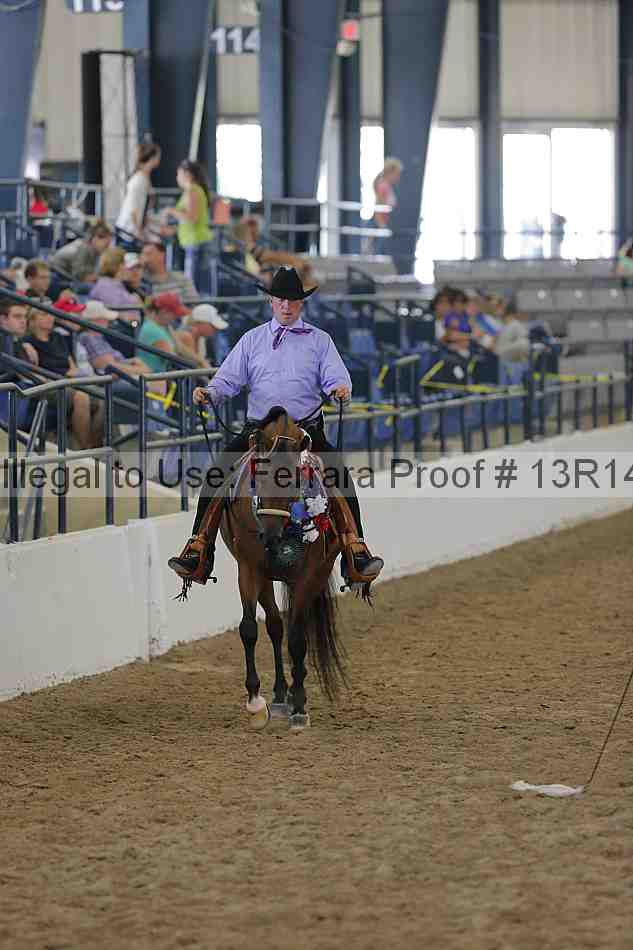 Proof 13r14_0605