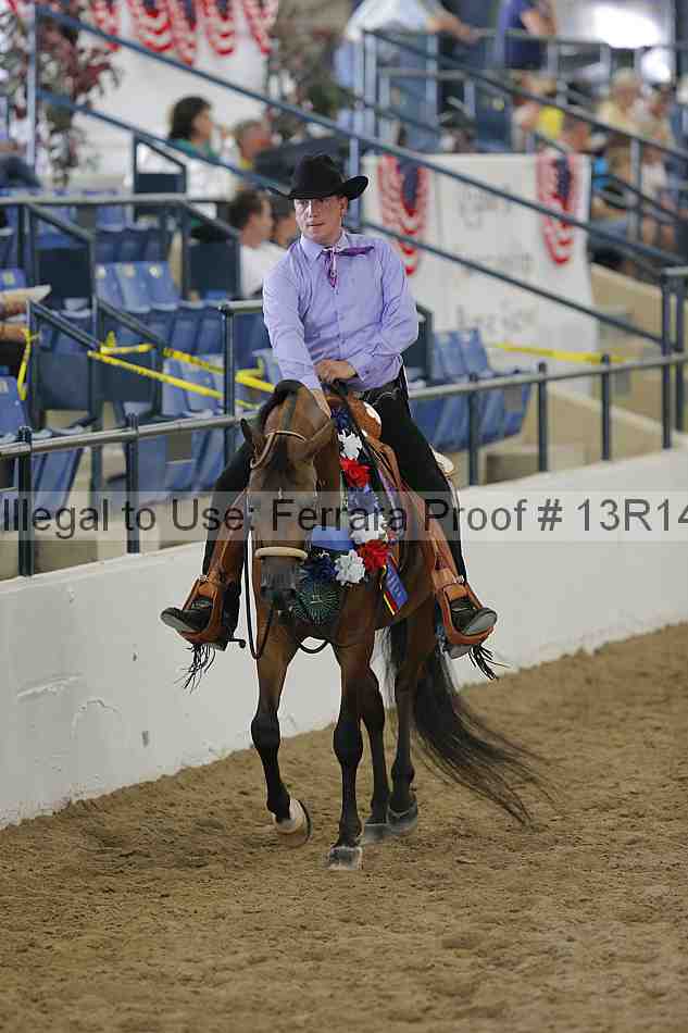 Proof 13r14_0608