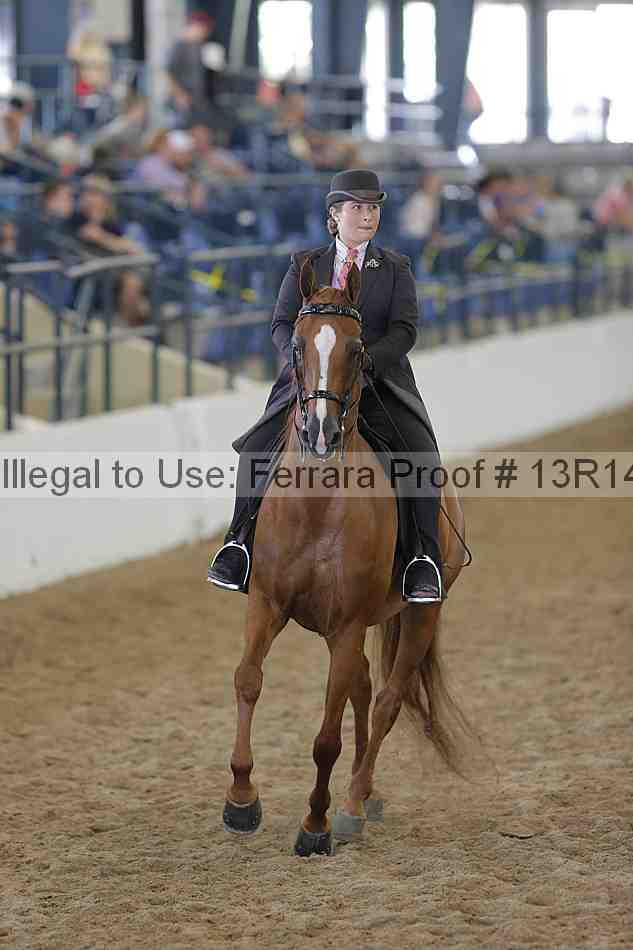 Proof 13r14_0616