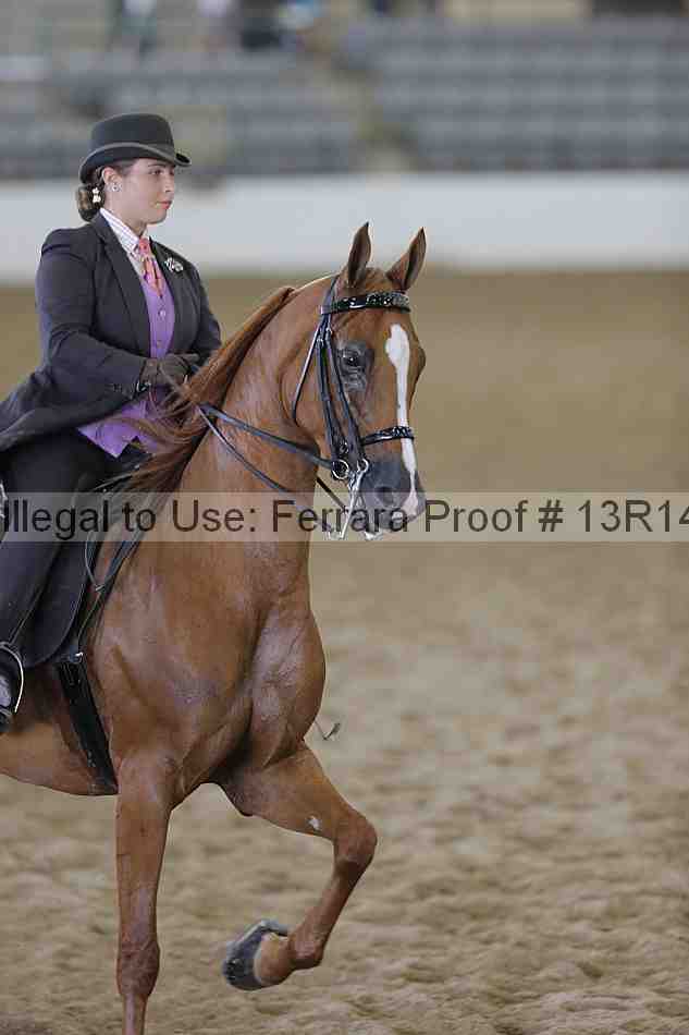 Proof 13r14_0618