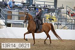 13r14_0621 proof