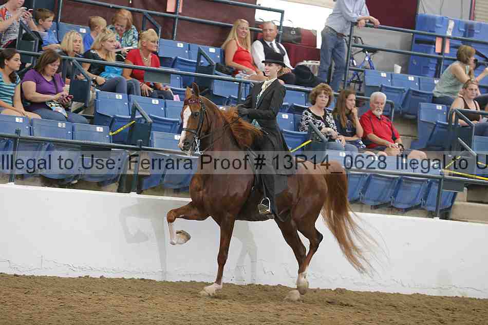 Proof 13r14_0628