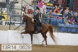 13r14_0629 proof