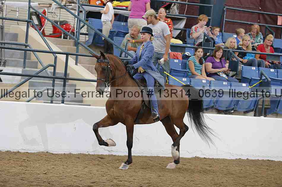 Proof 13r14_0639