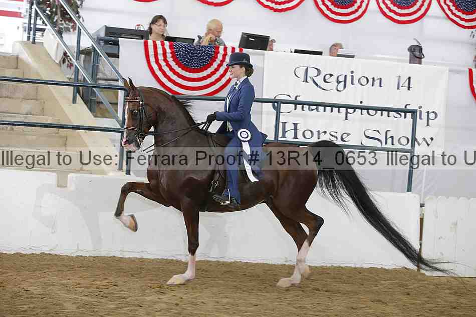 Proof 13r14_0653