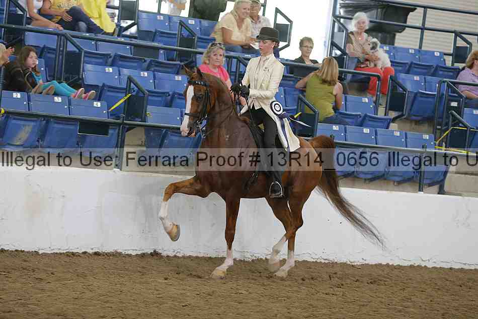Proof 13r14_0656