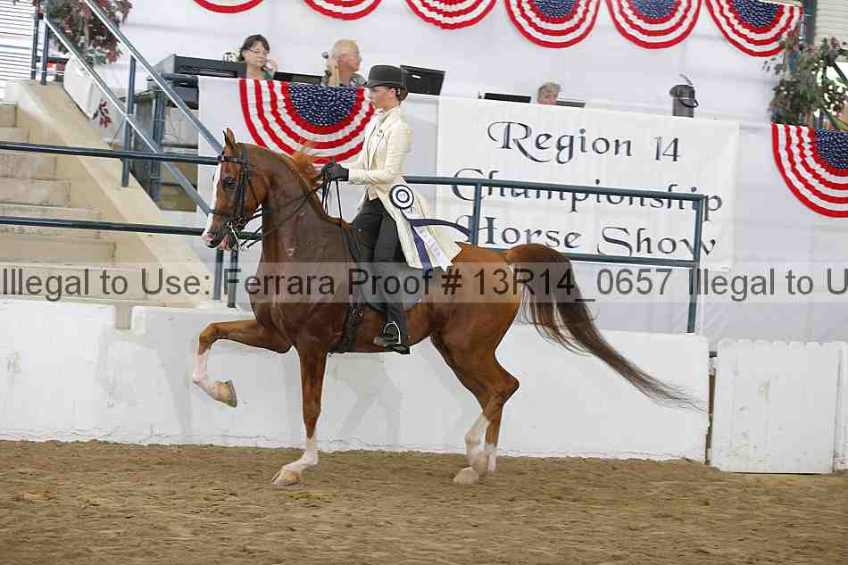 Proof 13r14_0657