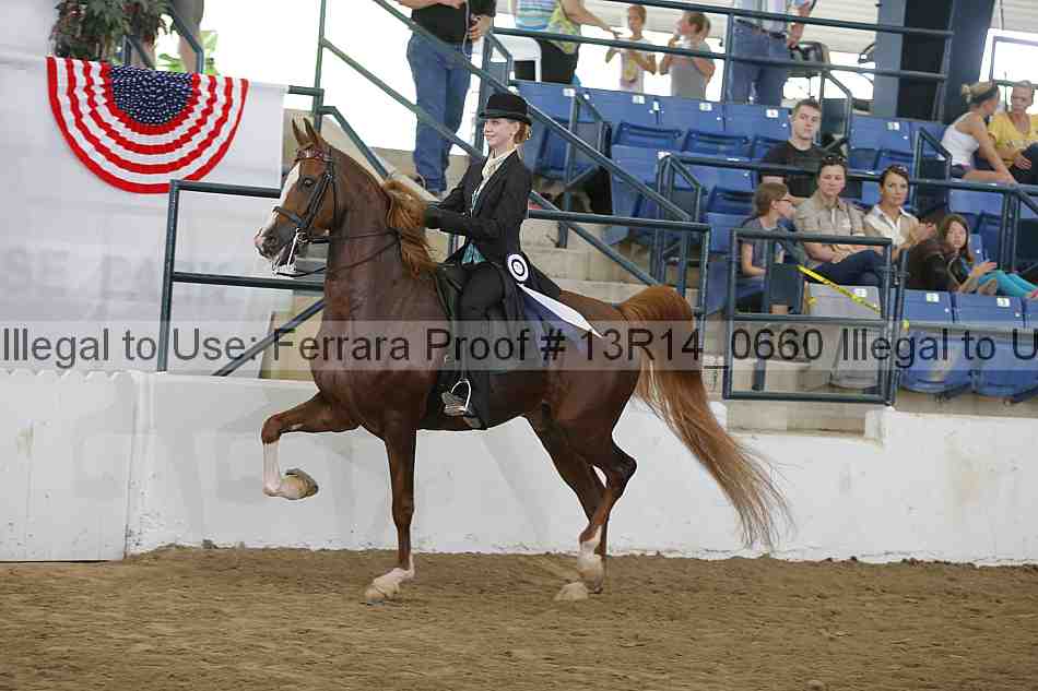 Proof 13r14_0660