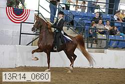13r14_0660 proof