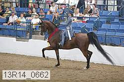 13r14_0662 proof
