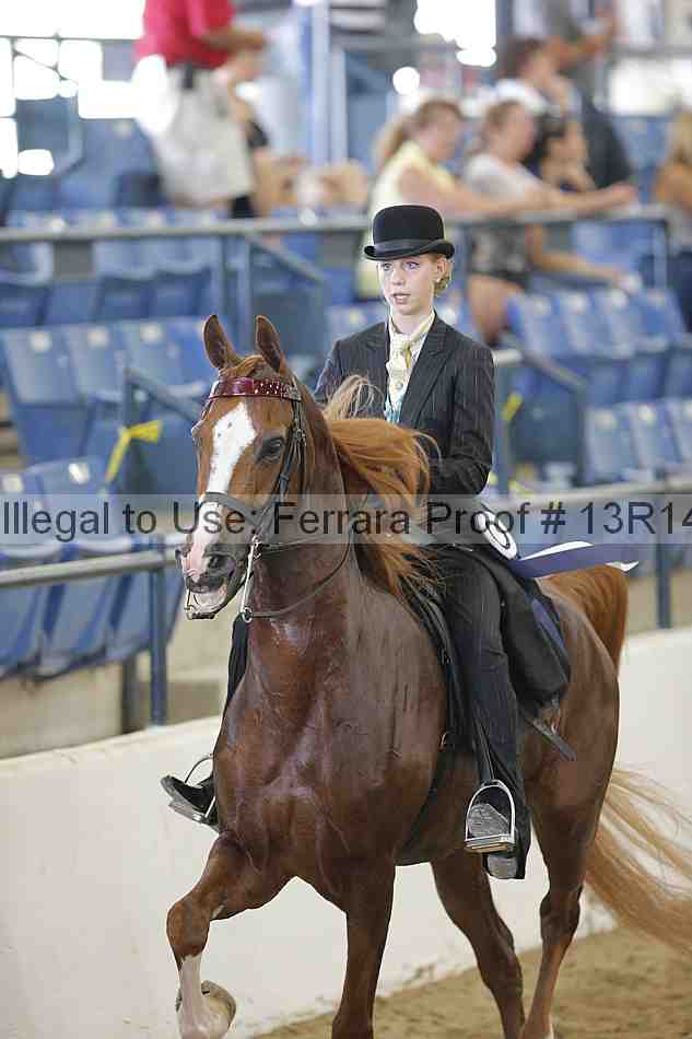 Proof 13r14_0664