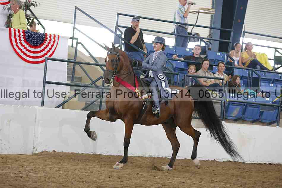 Proof 13r14_0665