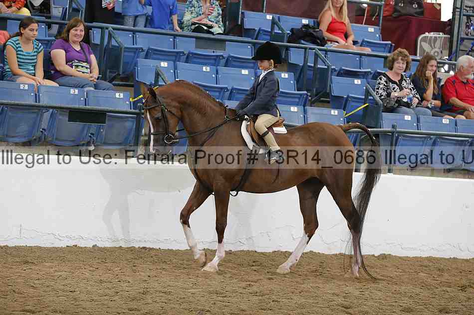 Proof 13r14_0686