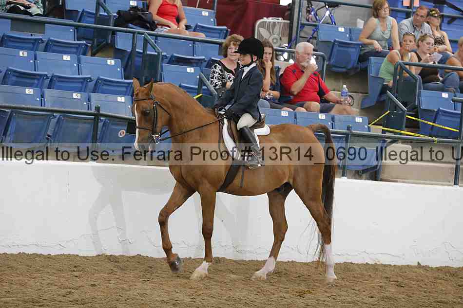 Proof 13r14_0690