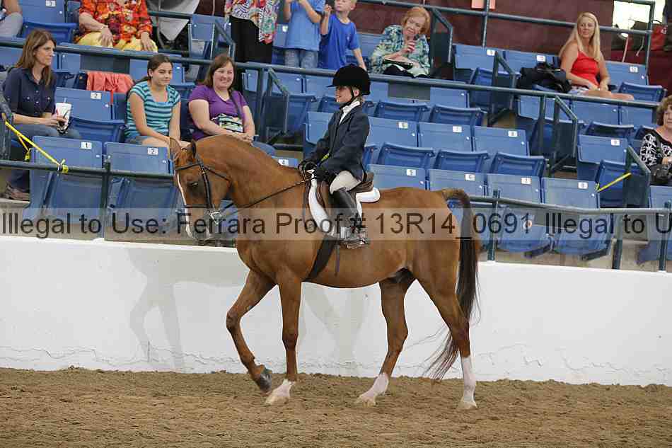 Proof 13r14_0691