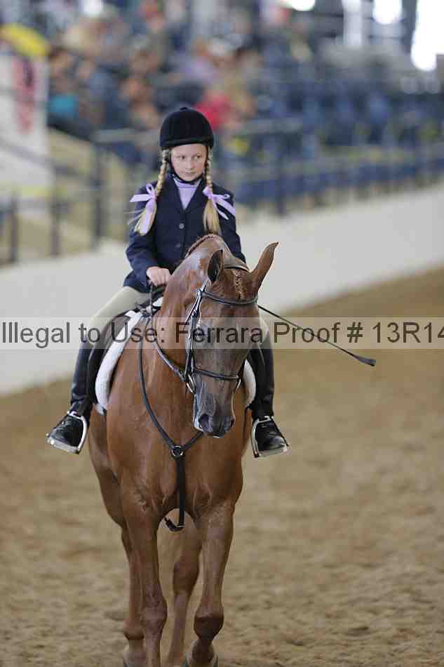 Proof 13r14_0699