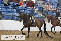 13r14_0701 proof