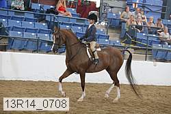13r14_0708 proof