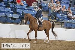 13r14_0712 proof