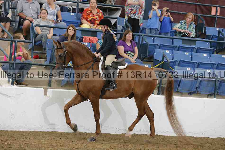 Proof 13r14_0723