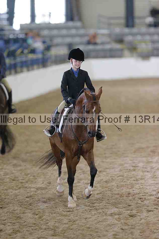 Proof 13r14_0728