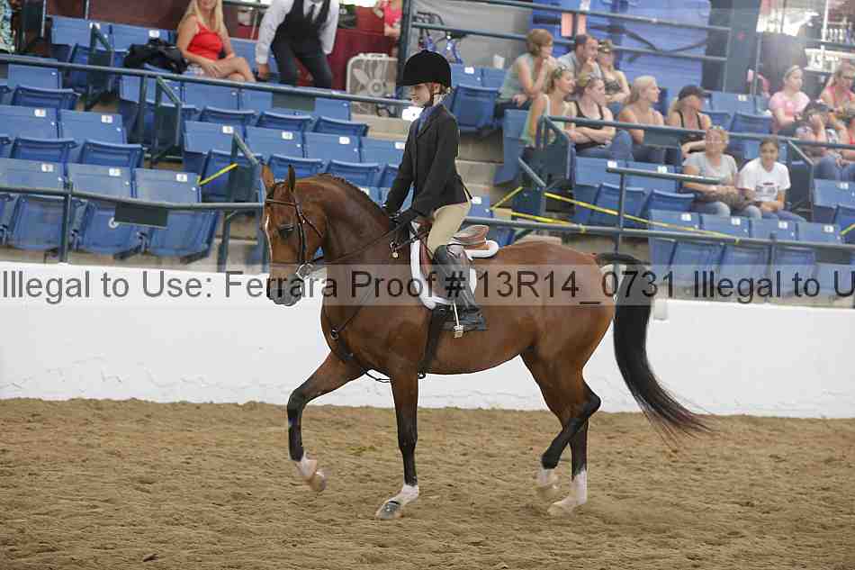 Proof 13r14_0731
