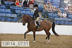 13r14_0731 proof