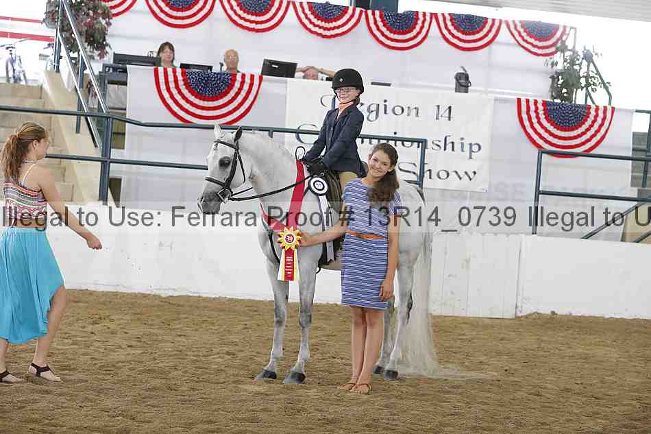 Proof 13r14_0739