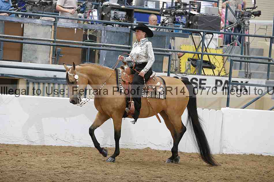 Proof 13r14_0776
