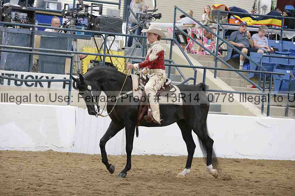 Proof 13r14_0778