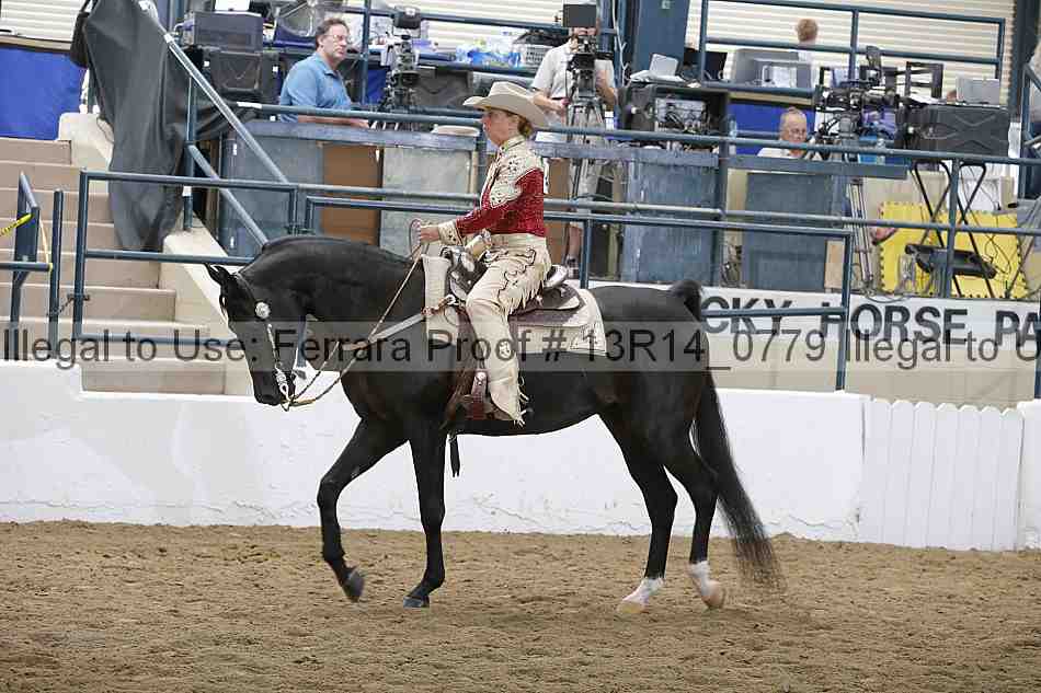 Proof 13r14_0779