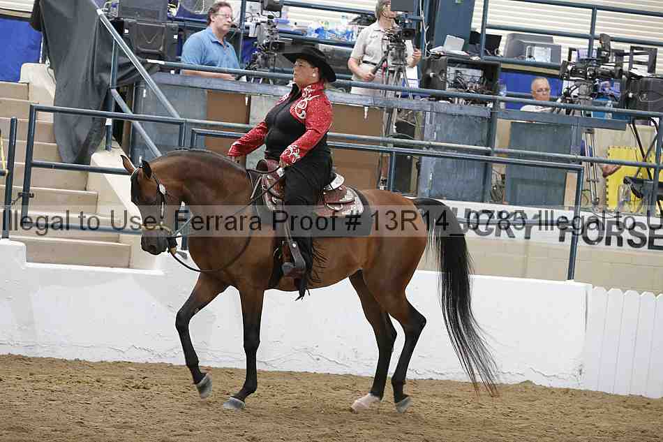 Proof 13r14_0785