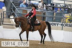 13r14_0785 proof