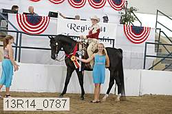 13r14_0787 proof