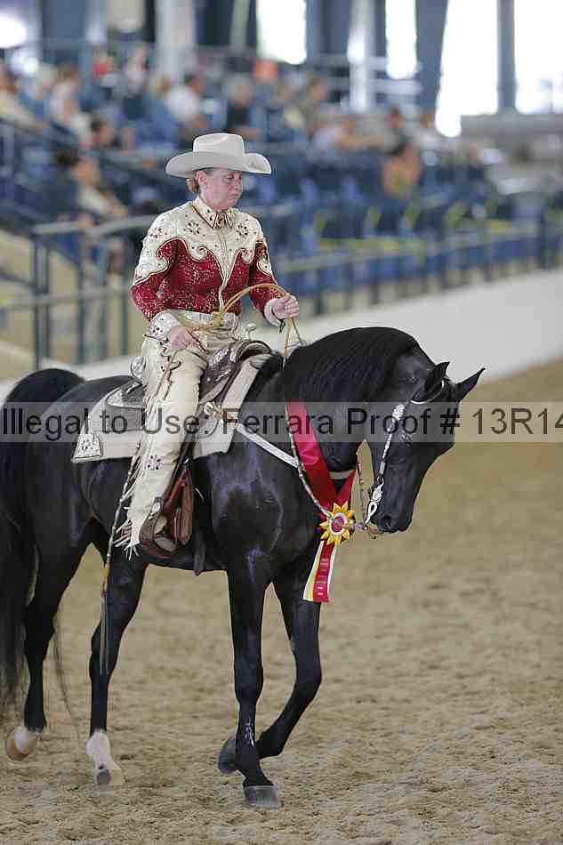 Proof 13r14_0789