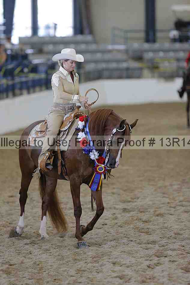 Proof 13r14_0793